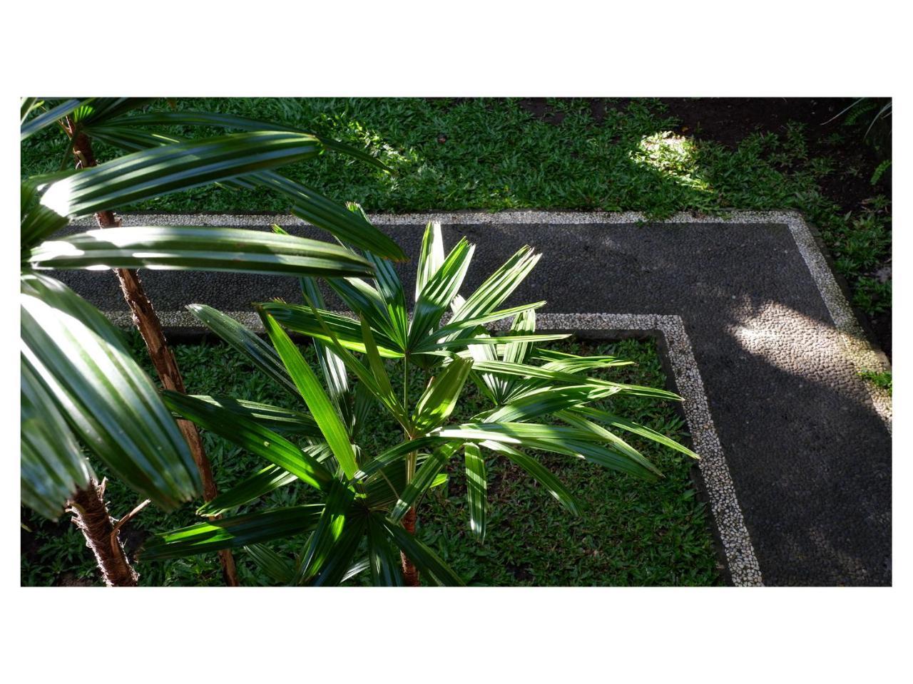 Apartament In Da Garden Ubud Zewnętrze zdjęcie