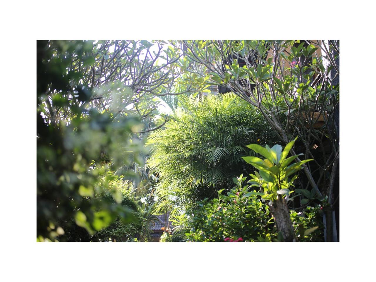 Apartament In Da Garden Ubud Zewnętrze zdjęcie